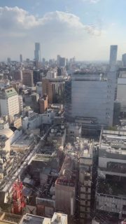 Here’s your daily reminder from high above Osaka 🇯🇵🐙
#travelvideo #osaka #japantravel #tourismjapan #tourist #takoyaki
